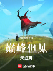 巅峰但见天涯月在线阅读