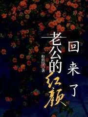 老公的红颜