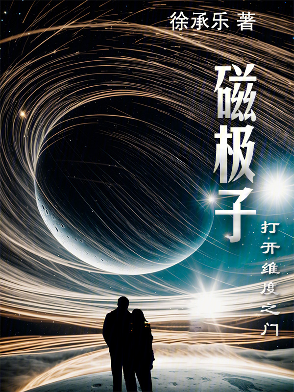 磁极子：打开维度之门