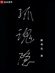 孤魂隐在线阅读