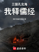 三国孔北海，我释儒经在线阅读