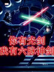你有光剑，我有六脉神剑在线阅读