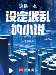 这是一本设定很乱的小说在线阅读