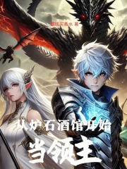 石酒馆开始当领主