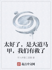 太好了，是大道马甲，我们有救了