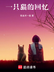 一只猫的回忆