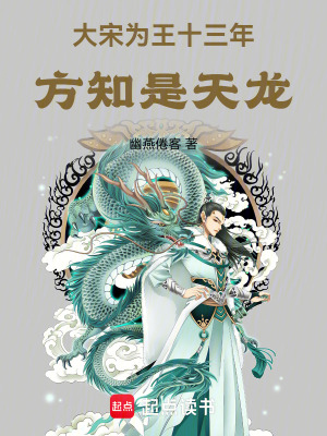 大宋为王十三年，方知是天龙封面