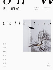 世上的光（“小说界文库”第二辑）