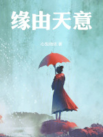 缘由天意在线阅读
