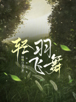轻羽飞舞封面