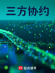 三方协约在线阅读