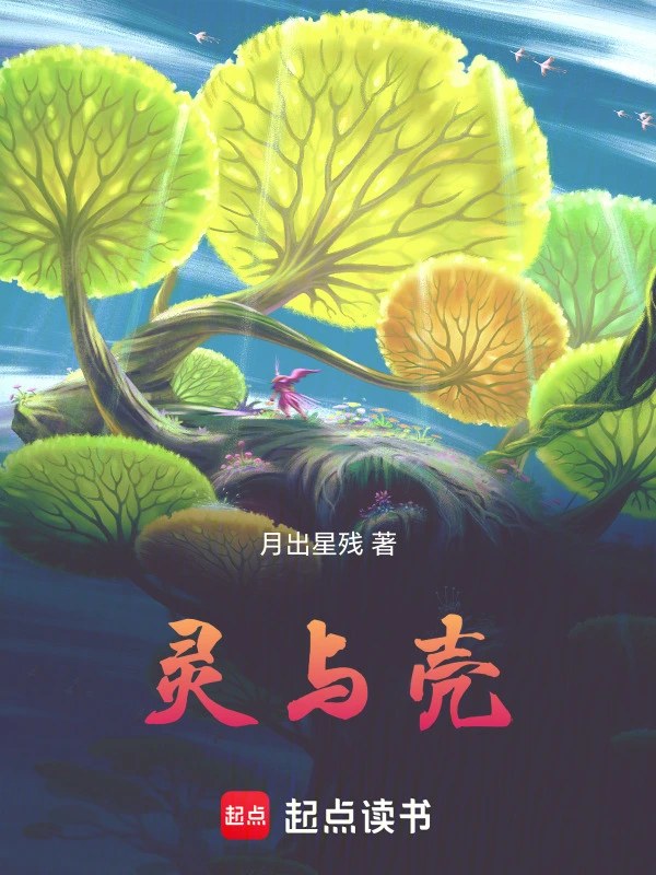 灵与壳