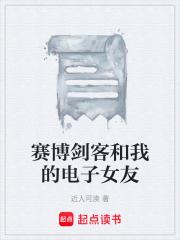 赛博剑客和我的电子女友在线阅读