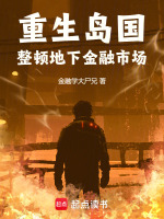 重生岛国，整顿地下金融市场在线阅读