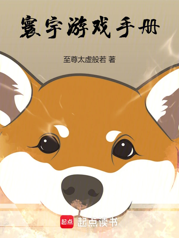 寰宇游戏手册