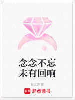 念念不忘未有回响在线阅读