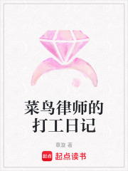 菜鸟律师的打工日记