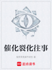 催化裂化往事在线阅读