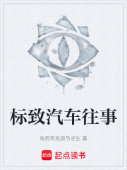 标致汽车往事在线阅读