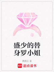 盛少的替身罗小姐