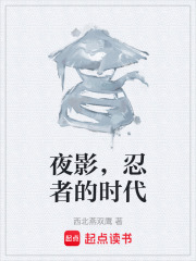 夜影，忍者的时代