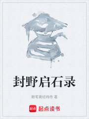 封野启石录在线阅读