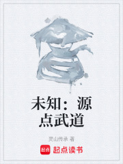 未知：源点武道