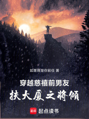 穿越慈禧前男友，扶大厦之将倾在线阅读