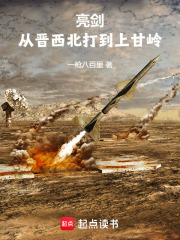 亮剑：从晋西北打到上甘岭在线阅读