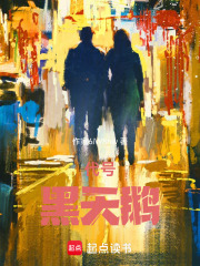 代号：黑天鹅在线阅读