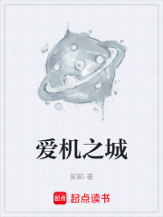 爱机之城在线阅读