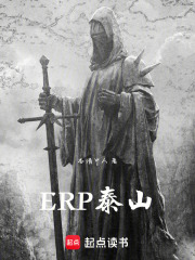 ERP泰山在线阅读