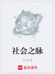 社会之脉