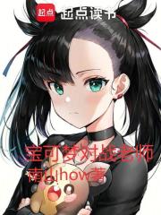 宝可梦对战