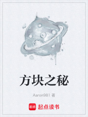 方块之秘在线阅读