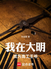 我在大明成为高工王爷在线阅读
