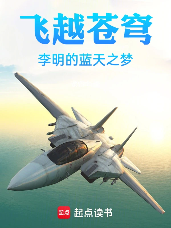 飞越苍穹：李明的蓝天之梦