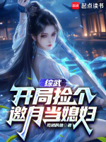 综武：开局捡个邀月当媳妇封面