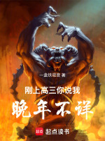刚上高三，你说我晚年不详封面