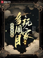 请不要质疑多周目玩家封面