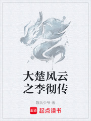 大楚风云之李彻传在线阅读