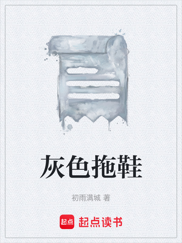 灰色拖鞋在线阅读