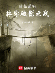 暗夜追凶：林宇破影之战