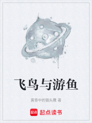飞鸟与游鱼在线阅读