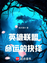 英雄联盟：命运的抉择