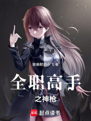 全职高手之神枪在线阅读