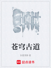 苍穹古道在线阅读