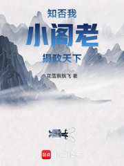 知否：我，小阁老，摄政天下在线阅读
