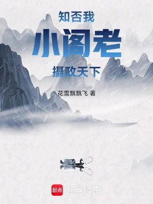 《知否：我，小阁老，摄政天下》（校对全本）作者：花雪飘飘飞【TXT】