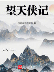 望天侠记
